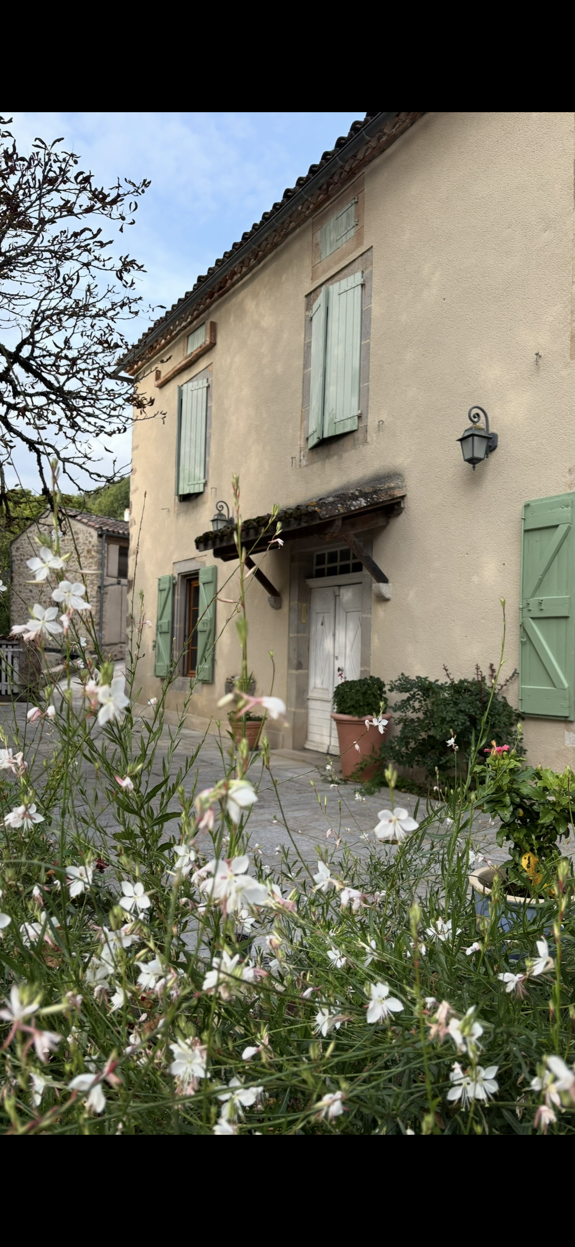 Les Muses de Labarthe